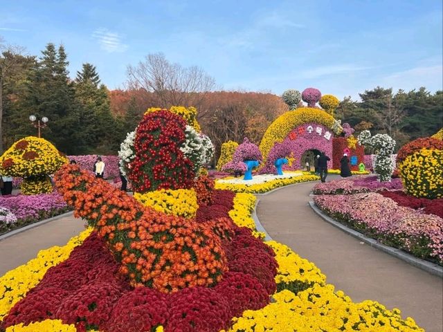 Green Escape at Daegu Arboretum