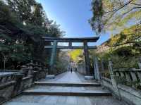 Stairway to Shrine Heaven at Kotohira 