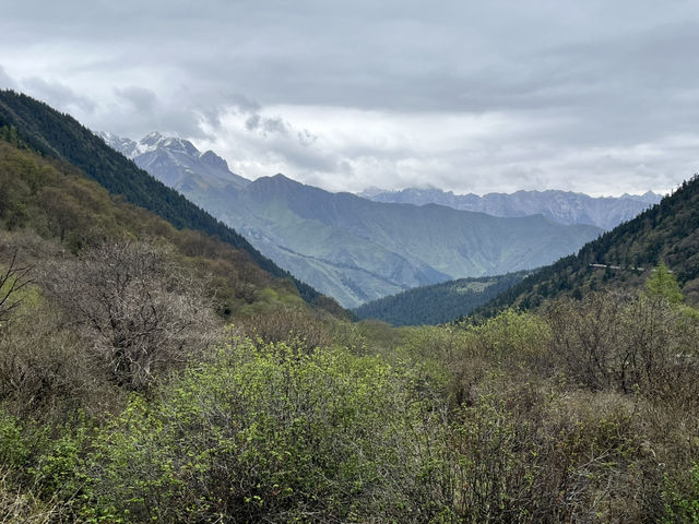 🏞️Epic Nature Combo: Huanglong + Jiuzhaigou Summer Adventure