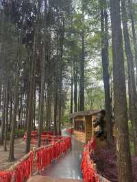 Discover the Colorful Charm of Butterfly Park – A Hidden Gem in Yunnan