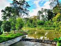 Inspiring pavillions of Bonsai Garden