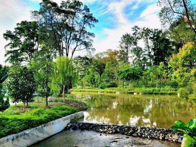Inspiring pavillions of Bonsai Garden