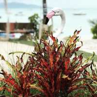  The Coffee Club Samui