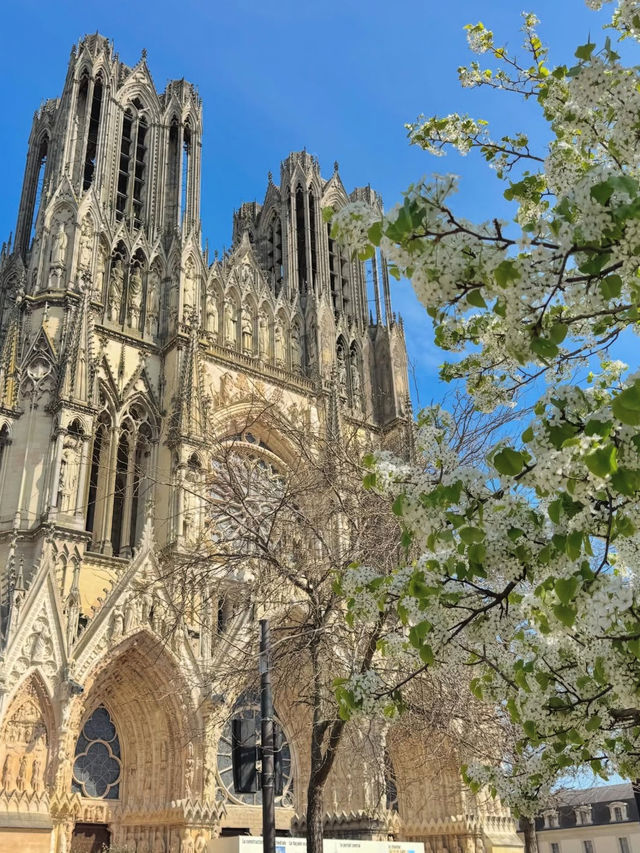🍾シャンパンの聖地！ランスで優雅な歴史旅を