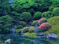 京都🇯🇵青蓮院