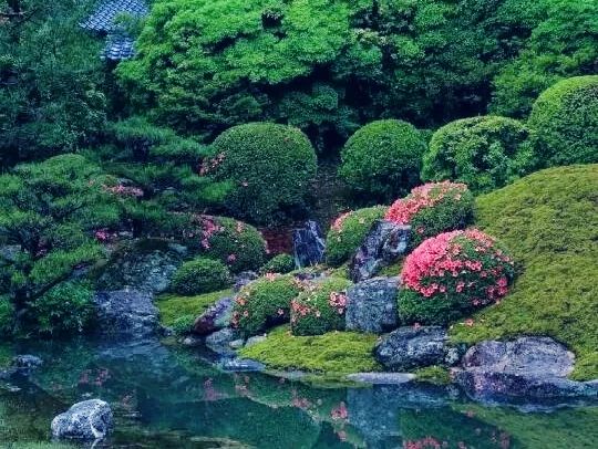 京都🇯🇵青蓮院