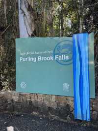 Purling Brooks Falls 