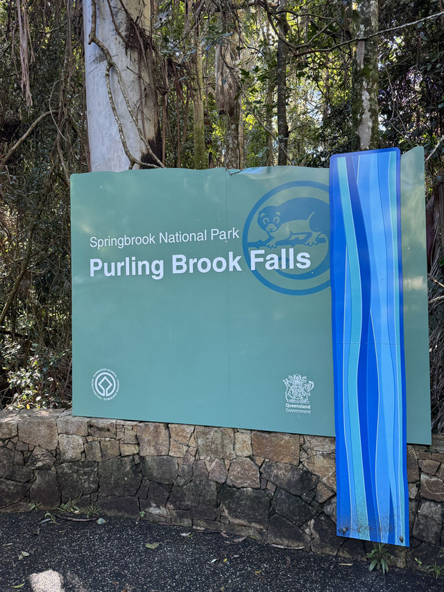 Purling Brooks Falls 