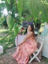 ภูฟิน ดอย เชียงใหม่ 