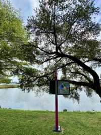 From Tin Mines to Tree Lines: The Rise of Taman Tasik Titiwangsa