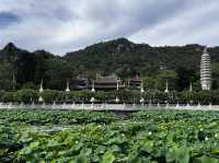 Nanputuo Temple’s Water Lily Garden: Where Buddha Meets Blooms (And Your Soul Finds Zen)"** 🌸🏯  