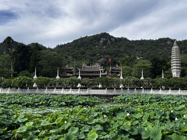 Nanputuo Temple’s Water Lily Garden: Where Buddha Meets Blooms (And Your Soul Finds Zen)"** 🌸🏯  