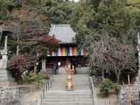 【圓満寺】恋愛成就のパワースポットで、願いを込める旅💌🌸