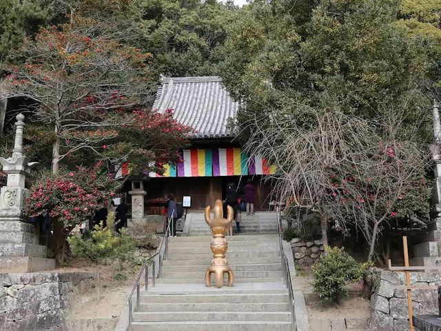 【圓満寺】恋愛成就のパワースポットで、願いを込める旅💌🌸