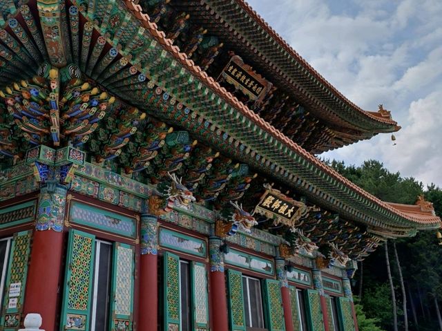 웅장한 아름다움이 가득한 삼광사 여행🌄