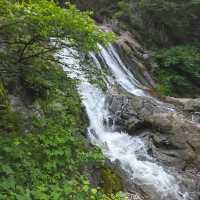 Hidden Waterfall Feels