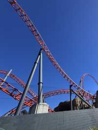Animals and Theme Parks