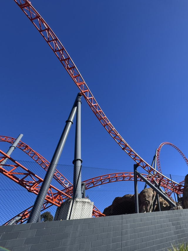Animals and Theme Parks