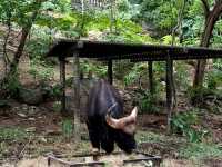 Attractions to visit in Khao Kheow Open Zoo