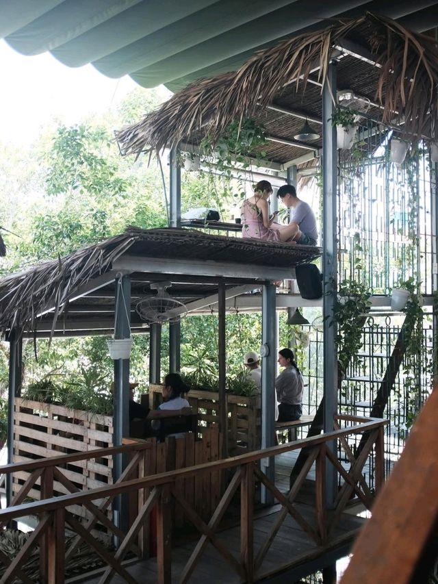 rain forest