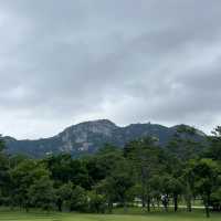 경복궁, 궁을 가다