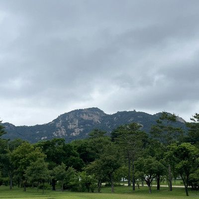 경복궁, 궁을 가다