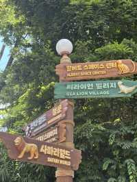 🦁 다양한 생명과 마주하는 시간, 에버랜드 동물원