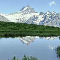 Alpine Freedom: A Solo Summer Adventure in the Bernese Oberland
