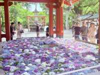 My Fukuoka Highlights: Temples, Art, and Evening Charms! 🌸🍜