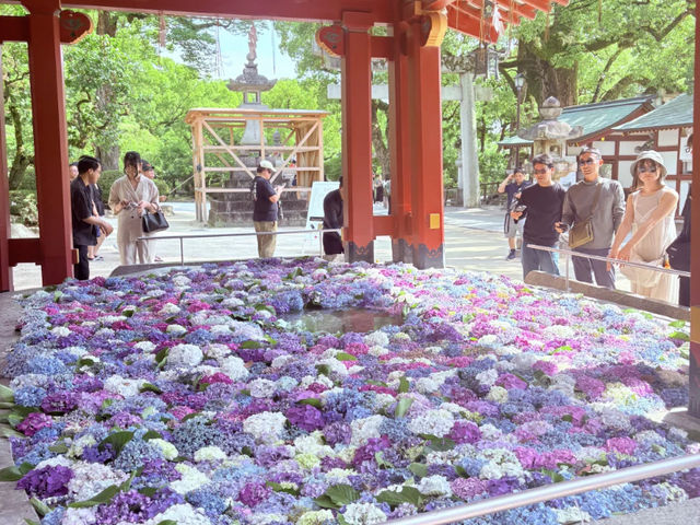 My Fukuoka Highlights: Temples, Art, and Evening Charms! 🌸🍜