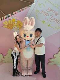Popland Summer Treat 