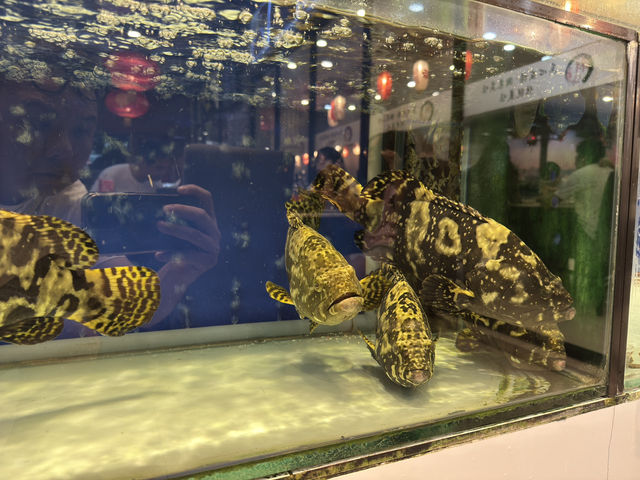 🍽️ Teochew Tradition at Chao Shan, Kulai – Worth the Drive?