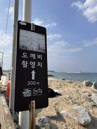【韓国/カンルン旅行】ドラマ『トッケビ』の撮影地