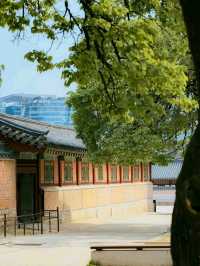 A Royal Walk Through Gyeongbokgung Palace