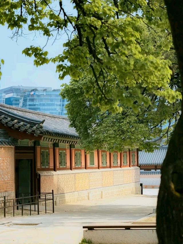A Royal Walk Through Gyeongbokgung Palace