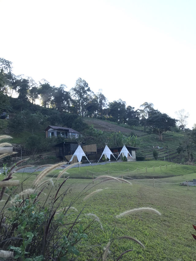 🏕️ Ma Doi เชียงใหม่: แคมป์ปิ้งอุ่นใจในอ้อมกอดขุน