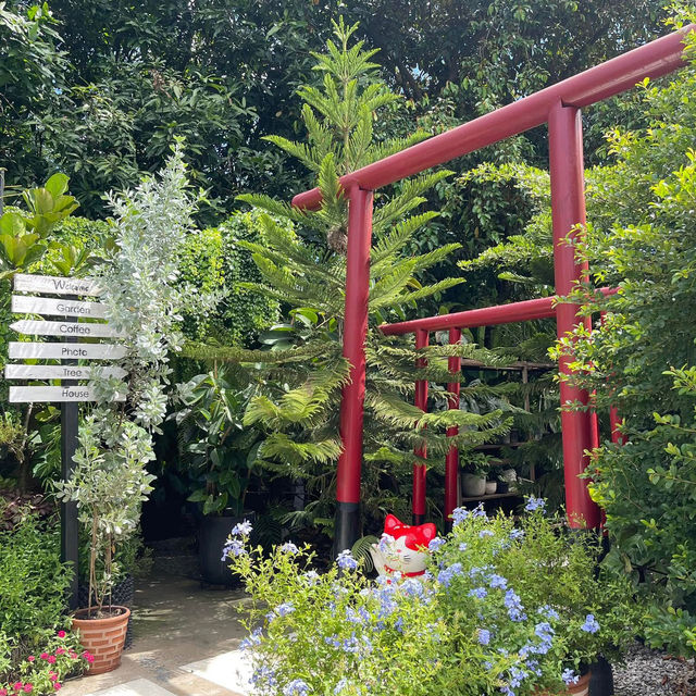 🌿✨ Nengfoto Cafe & Tree | คาเฟ่ลับกลางสวนในท่าบ่อ
