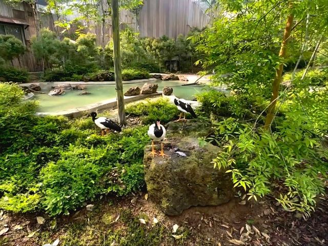 Experience the australian outback in Bird Paradise