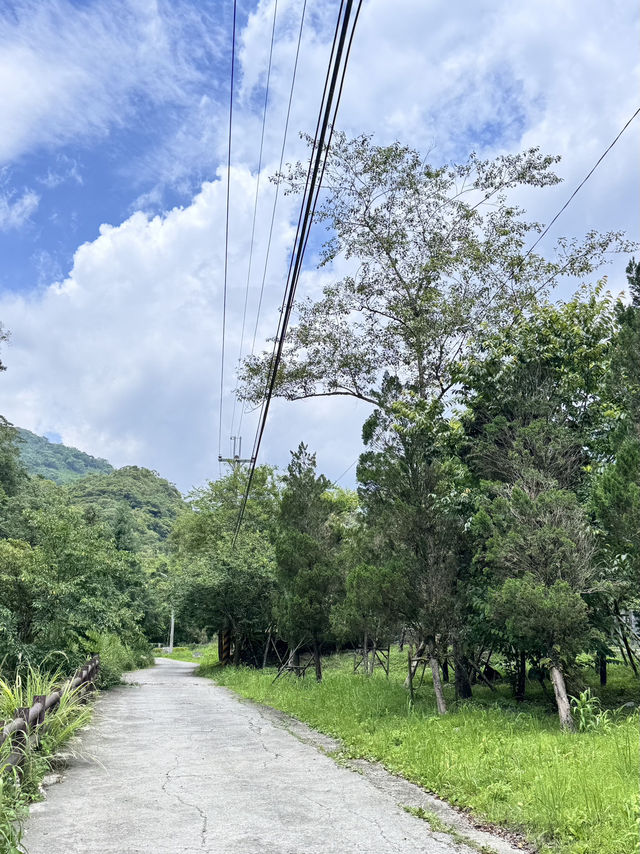內洞-蝴蝶公園