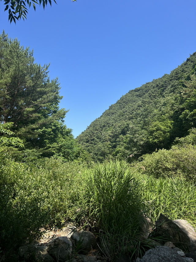🌿 숲과 계곡 사이, 단양 숨하우스에서 머문 시간🕯️