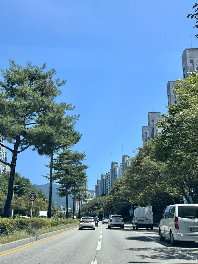로컬 감성 가득한 입소문 맛집