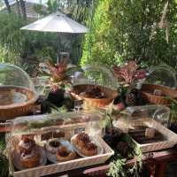 Calm & Coff คาเฟ่ลับในซอยกรุงเทพ 
