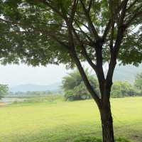 เขื่อนศรีนครินทร์