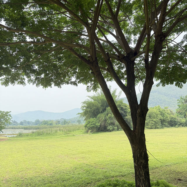 เขื่อนศรีนครินทร์