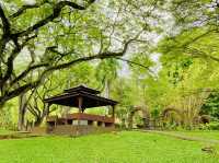 A green sanctuary in the city 🌆 👫😎❤️