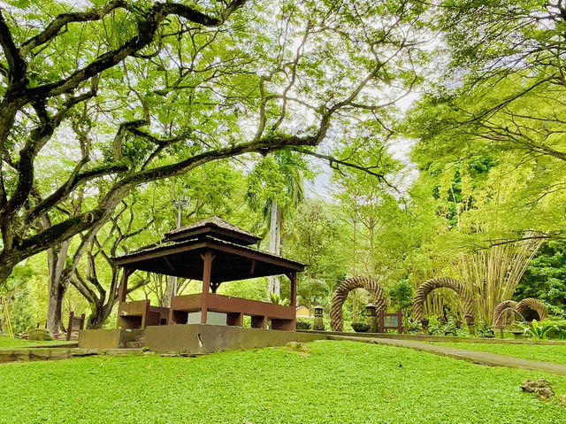 A green sanctuary in the city 🌆 👫😎❤️