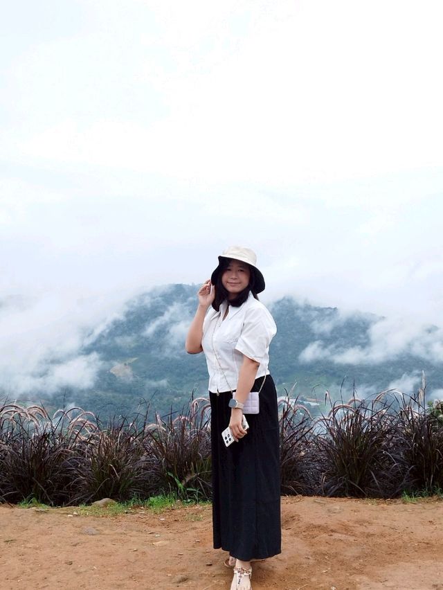 เที่ยวเชียงใหม่คนเดียว 