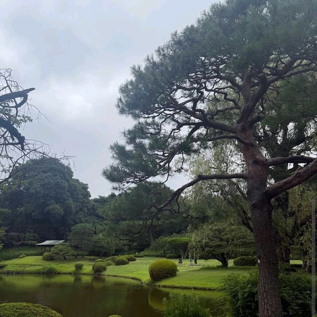Shinjuku Gyoen National Garden