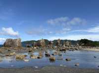 Wakayama Summer Trip: A Relaxed Kumano Kodo Journey ☀️
