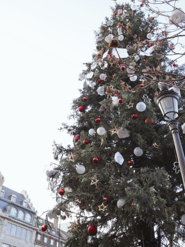 【まるで絵本の世界】フランス、ストラスブール ロマンティックすぎる本場クリスマス